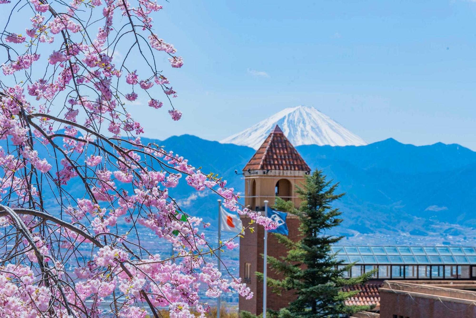 Fruit Park Fujiya Hotel Yamanashi  Dış mekan fotoğraf