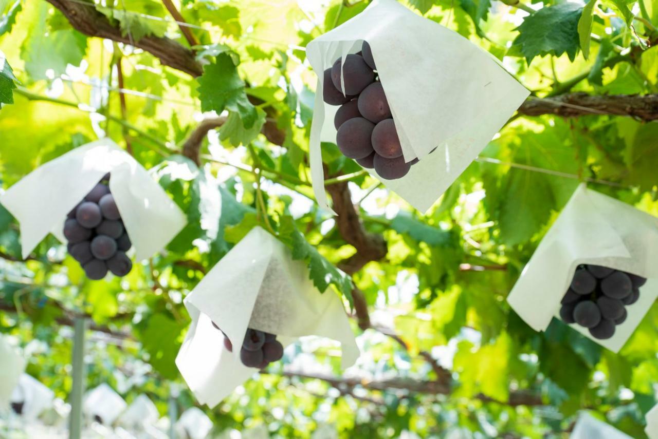 Fruit Park Fujiya Hotel Yamanashi  Dış mekan fotoğraf