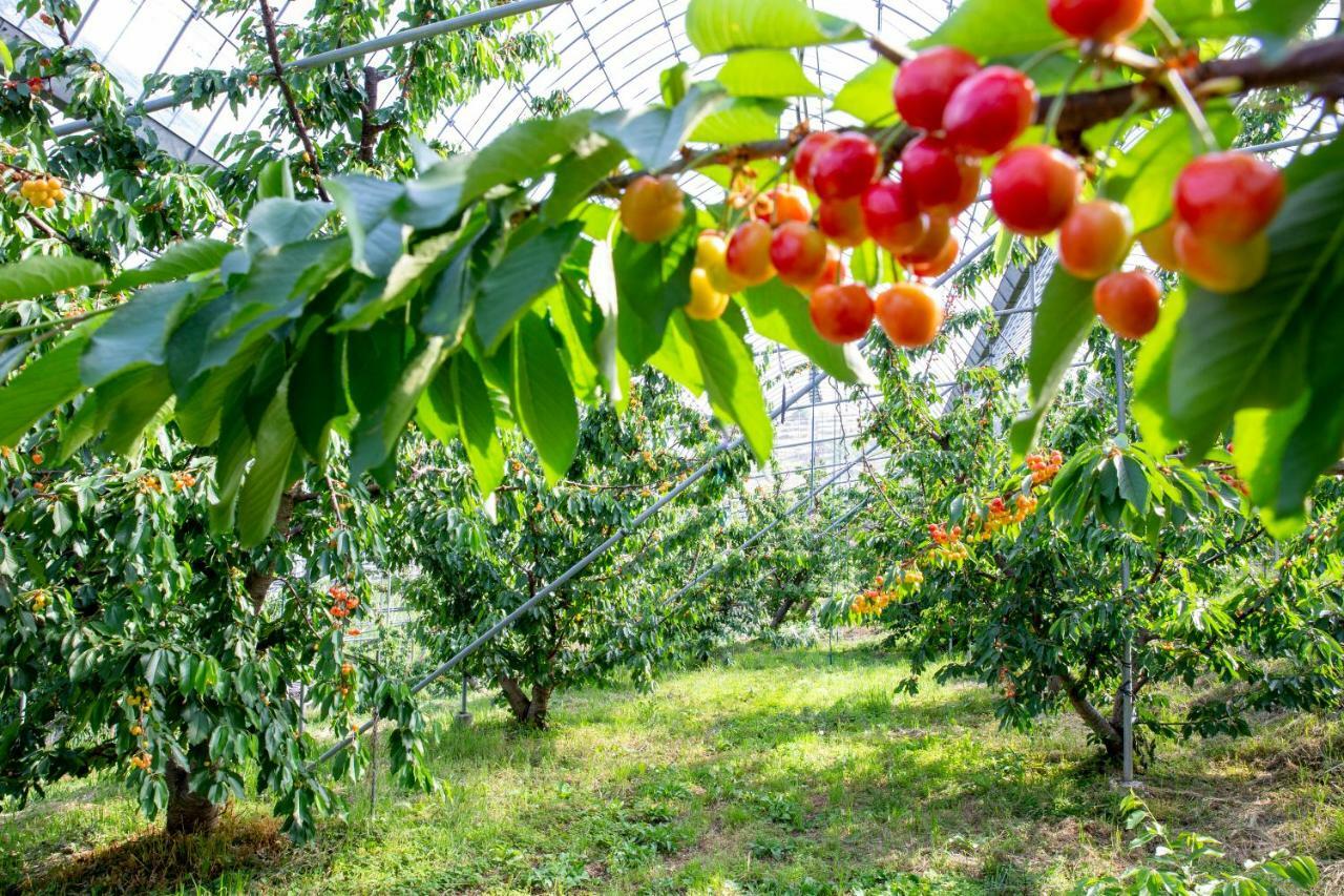 Fruit Park Fujiya Hotel Yamanashi  Dış mekan fotoğraf